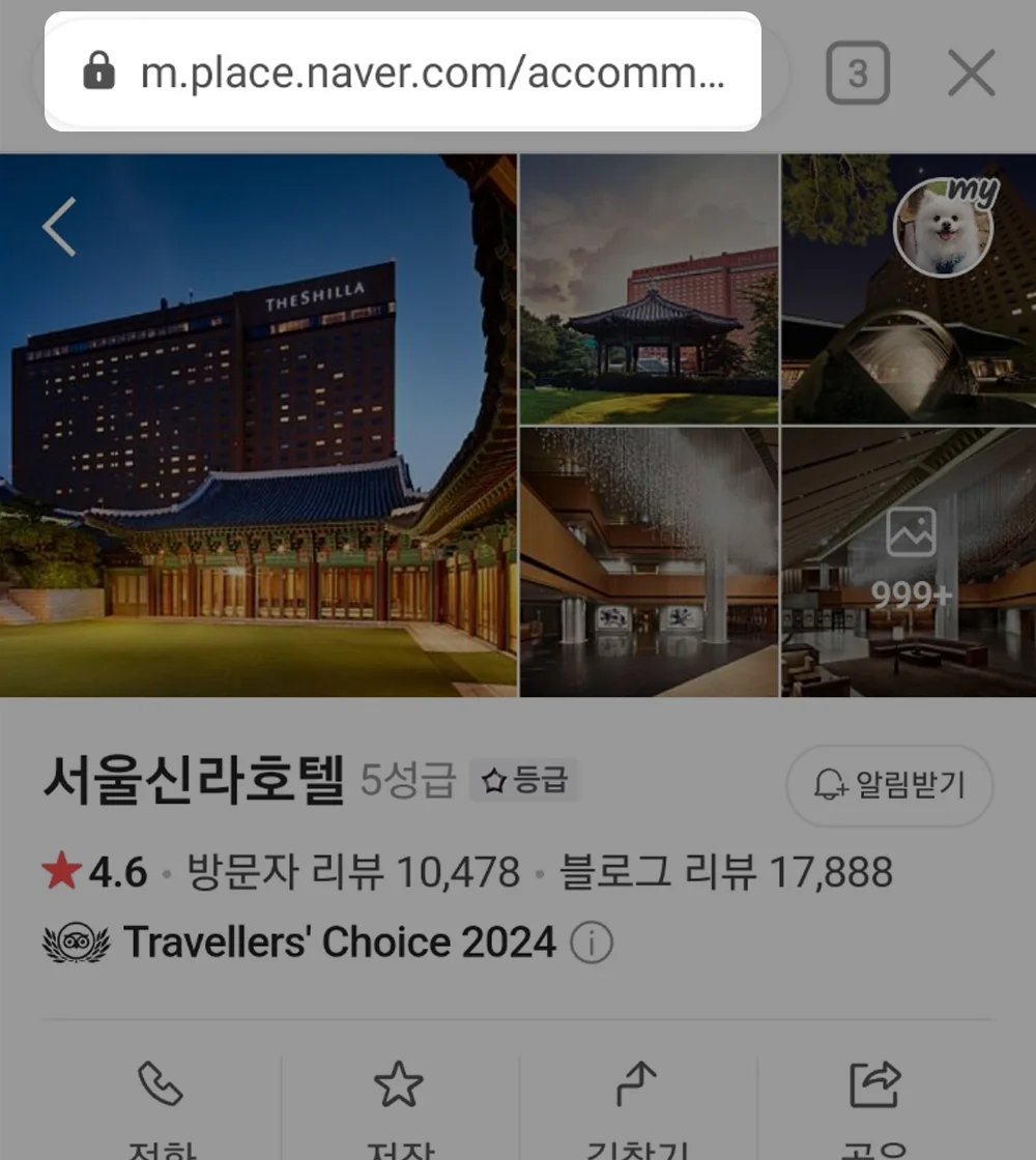 플레이스 선택