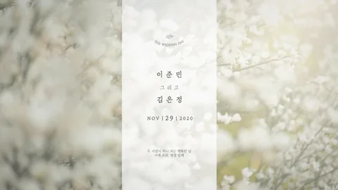 심플 드림